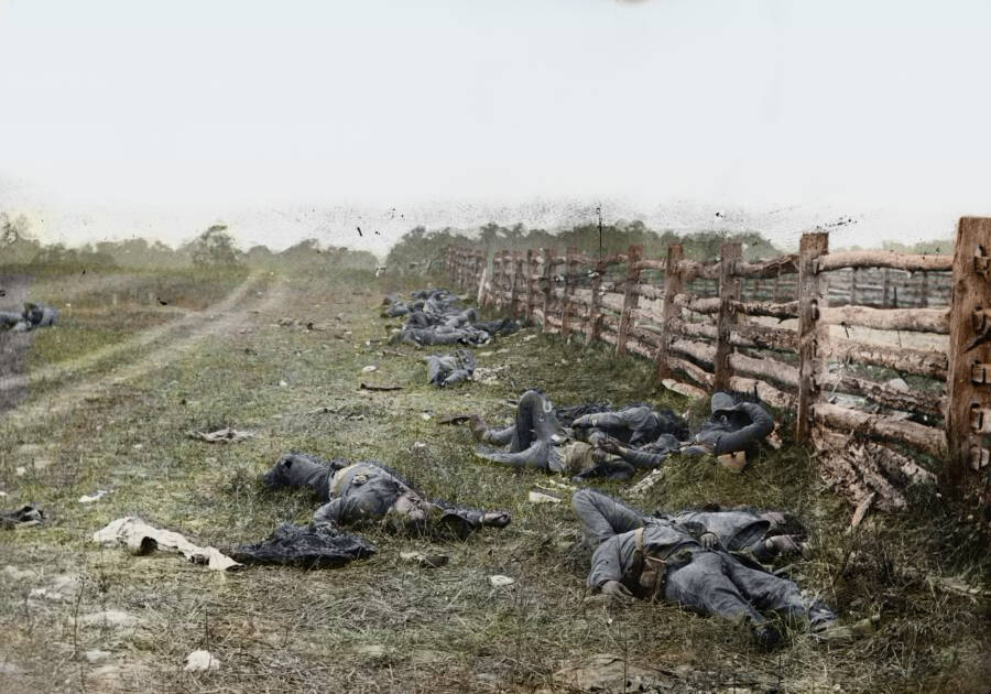 Corpos de confederados após a batalha de Atietam